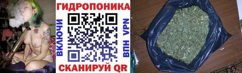 Купить закладки  Челябинск  Бошки марихуана тримм 